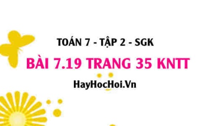 Bài 7.19 trang 35 Toán 7 Tập 2 Kết nối tri thức